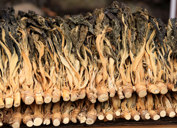 菜干制作運(yùn)用蒸汽模塊爐! 菜干制作運(yùn)用蒸汽模塊爐!