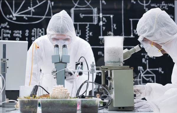 某化學(xué)工程項目定制款電蒸汽發(fā)生器使用案例!