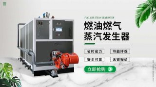 200公斤燃?xì)庹羝l(fā)生器性能特點!